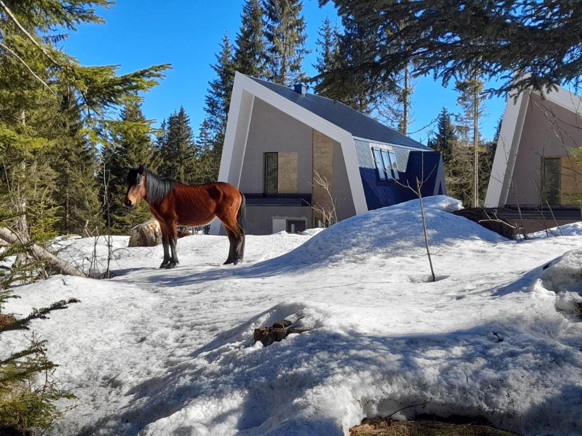 Olympic Oasis Villa Jahorina Eksteriør bilde